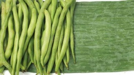 image of string_bean #11