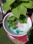 image of vase