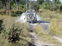 image of jeep_car