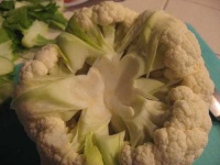 image of cauliflower