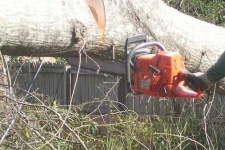 image of chain_saw #34