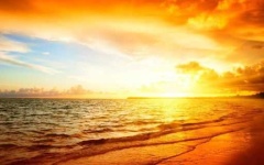 image of sunny