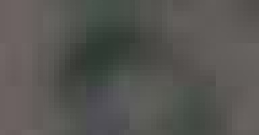 image of char