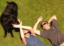 image of flat_coated_retriever