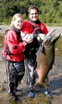 image of coho