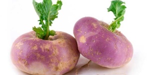 image of turnip #24