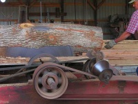 image of lumbermill