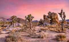 image of desert