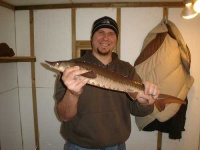 image of sturgeon