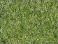 image of texture