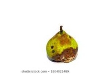 image of biological