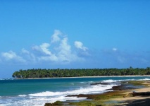 image of seashore