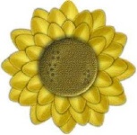 image of sunflower #29
