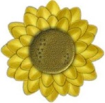 image of sunflower