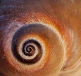 image of texture