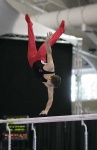 image of parallel_bars