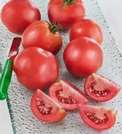 image of tomato #11