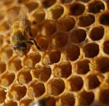 image of texture