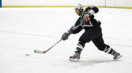 image of puck