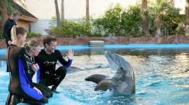 image of animal