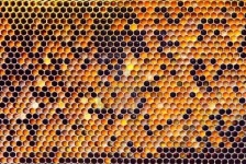 image of texture