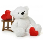 image of teddy_bear
