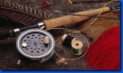 image of reel