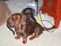 image of space_heater