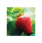 image of strawberry #4