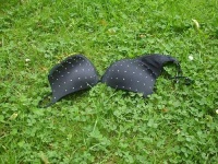 image of brassiere