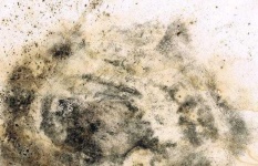 image of texture