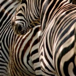 image of texture