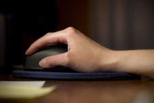 image of mouse