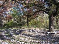 image of maze