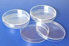 image of petri_dish