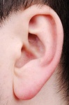 image of ear