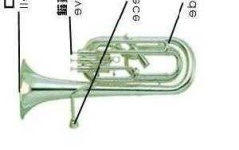 image of euphonium
