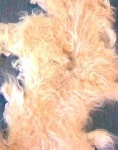 image of texture