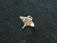 image of electric_ray