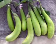 image of fruit_and_vegetable