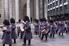 image of bearskin