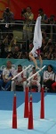 image of parallel_bars