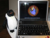 image of animal