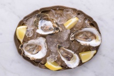 image of oyster #9