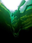 image of scuba_diver