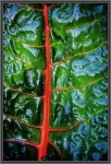 image of texture
