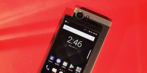 image of blackberry