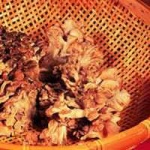 image of hen_of_the_woods