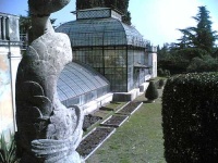 image of greenhouse
