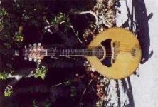 image of mandolin
